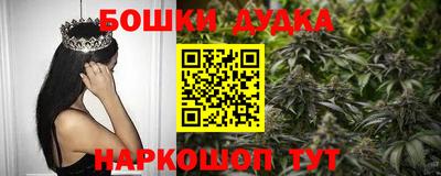 индика Кулебаки