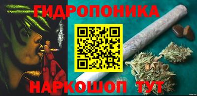 индика Кулебаки