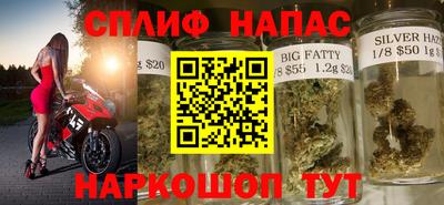 крисы Кунгур