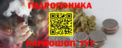 крисы Кунгур