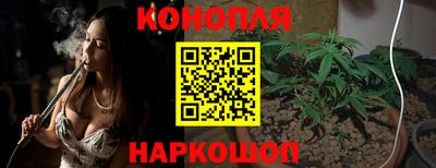 крисы Кунгур